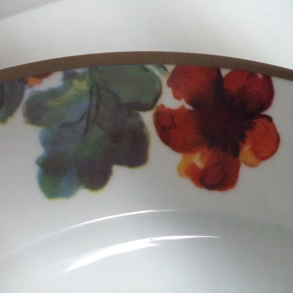 Ciroa Pumpkin Autumn Fall Thanksgiving Holiday Dinner Plate Set 6 Porcelain 11